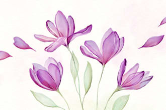 floral illustration commercial use