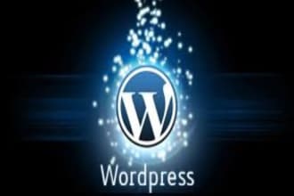 install wordpress theme demo import setup demo content