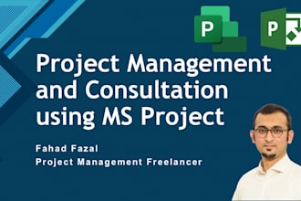 be your consultant for managing projects using ms project