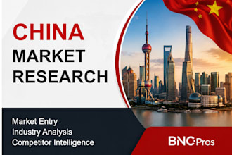 offer china market research, analysis and entry plan