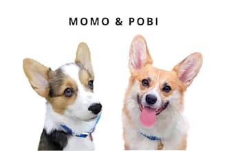 design pet cartoon, pet illustration or pet vector for you