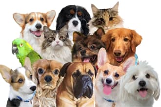 design pet cartoon, pet illustration or pet vector for you
