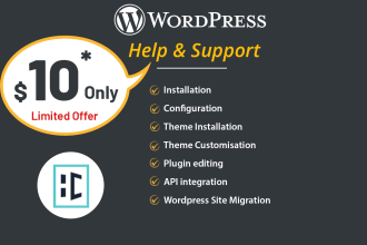 help you with wordpress
