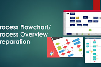 prepare process overviews and process maps for your business