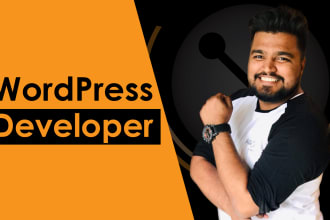 fix wordpress bugs and errors and website issues