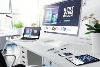 design a professional wordpress website