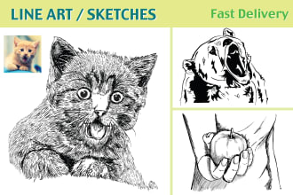 draw black and white line art your any photo any sketch
