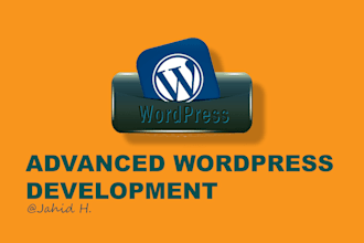 add custom function or script to your wordpress website