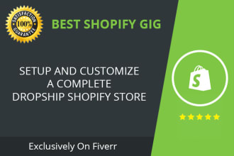 build shopify dropshipping store shopify website