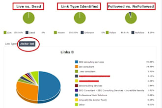 give you a tool to rank google in 2 weeks