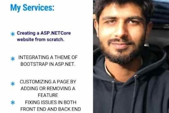 develop asp net core mvc or web API applications