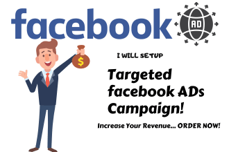 setup targeted facebook and instagram ads campaign