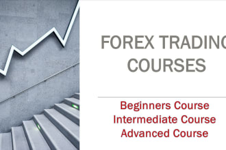 provide forex trading courses for different levels