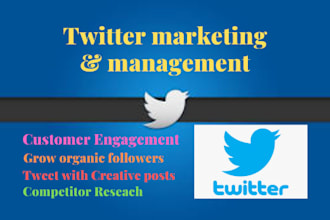 do twitter marketing management and grow followers for you