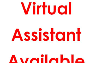 be your virtual assistant for wordpress and web admin tasks