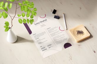 design professional resume or CV
