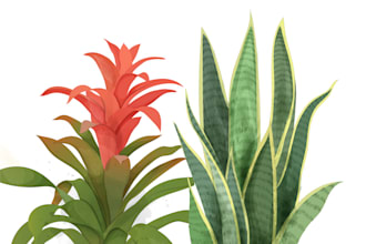 draw botanical illustrations of flowers, plants and fruits