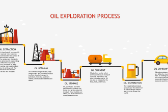 do high level infographics and vector design