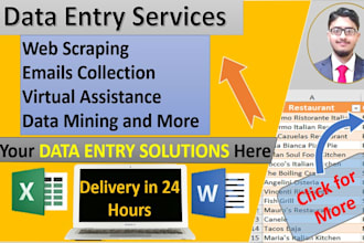 do expert excel data entry, find email, website scraping and admin work in 1 day