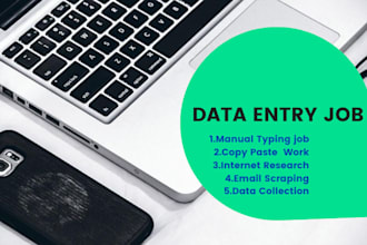 do fastest data entry at low price and typing job