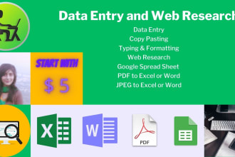 do precise data entry and quick web research