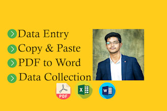do fast data entry excel,copy paste,PDF to excel in 3 hours