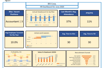 help you with analytics for effective people management