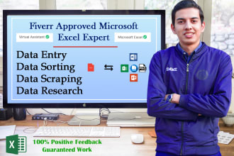 do data entry and data scraping