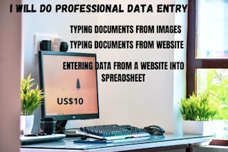 do professional business data entry