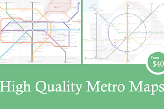 design a custom transit diagram or metro map design for you