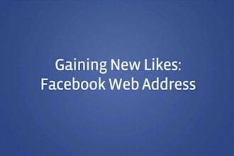 provide 65 REAL Human Facebook likes without Admin Access