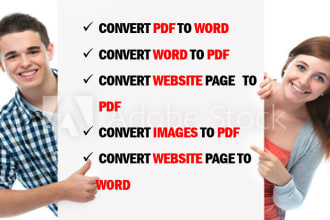 convert pdf to word
