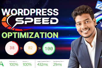 do wordpress speed optimization, improve google page speed