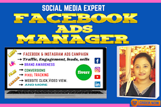 be your facebook ads manager for ads campaign