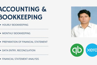 do bookkeeping, accounting ,finance ,audit and tax