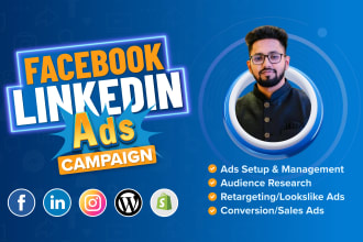 manage and run facebook ads campaign, meta ads, instagram ads, linkedin ads