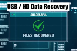 perform expert data recovery from pen drive and hard disk