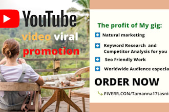 youtube channel video viral promotion