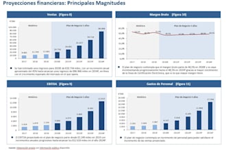 create the professional business plan and valuation