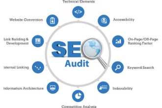 provide manual  SEO audit report and action plan within 12 hours