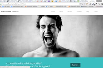 create an amazing wordpress landing page in 24 hrs