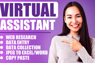 do 2 hours data entry, web research, copy paste, typing job