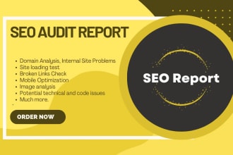 provide a professional website SEO audit report within 24 hours