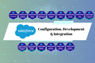 do any salesforce configuration, development, and integration