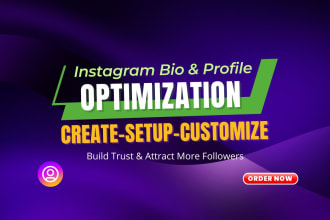 set up and optimize your instagram bio professionally