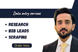 assist you with excel data entry, mining, web research, email finding or listing