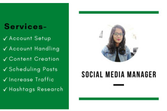 be your social media marketing manager and content creator
