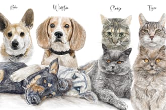 do a color drawing pet portrait of your photo