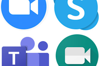 do 30 mins website consultation skype session