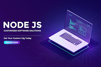 I will develop a web application using node js, react js, vue js